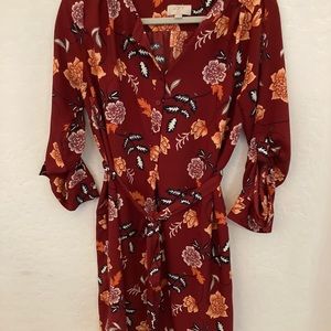 Ann Taylor Loft Shirt Dress